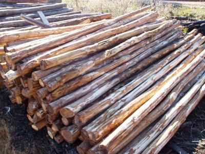 Στρόγγυλη ξυλεία καστανιάς-2